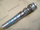      (. ) TAGC 42,44