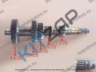    (TAGC) 42